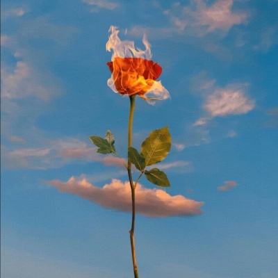 经典牛牛下载手机版